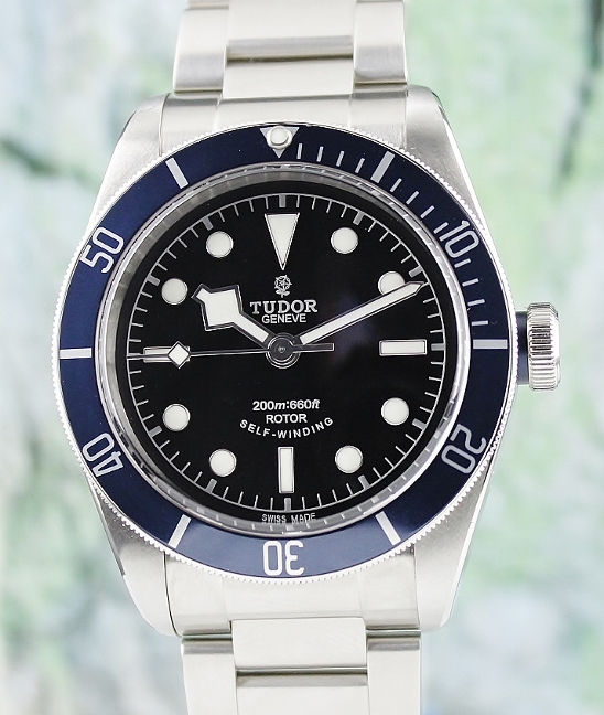 (image for) TUDOR STAINLESS STEEL HERITAGE BLACK BAY / 79220B